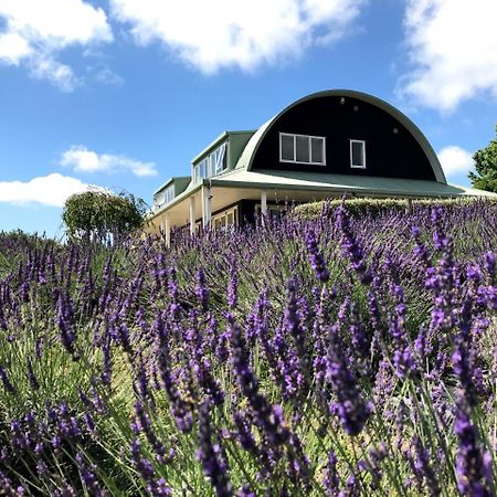 Bed and Breakfast Lavender Hill Riverhead Esterno foto