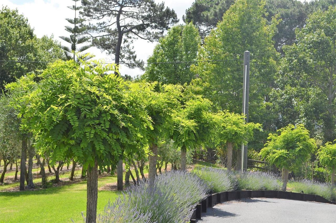 Bed and Breakfast Lavender Hill Riverhead Esterno foto