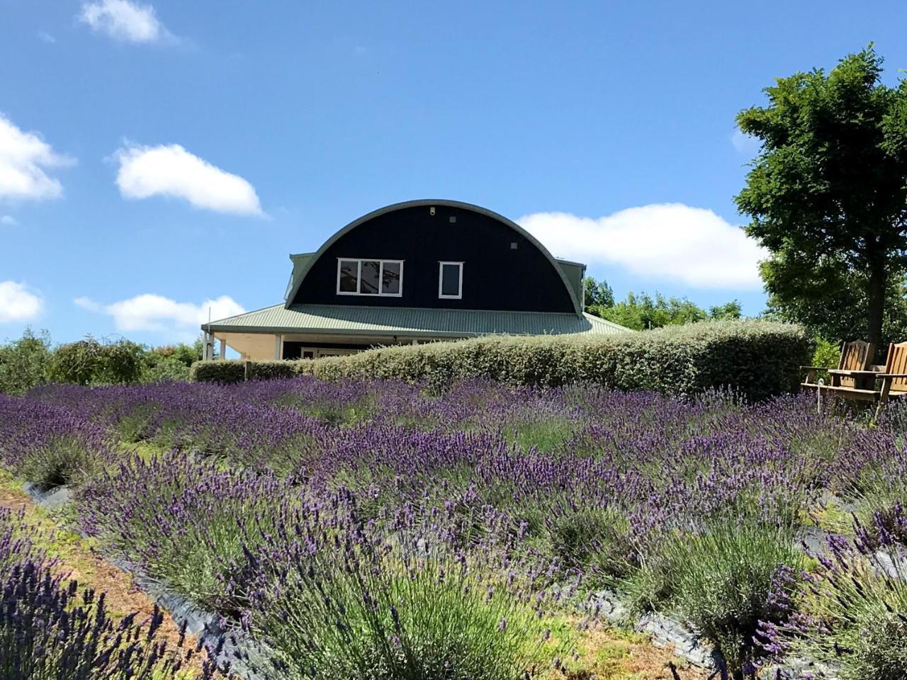 Bed and Breakfast Lavender Hill Riverhead Esterno foto