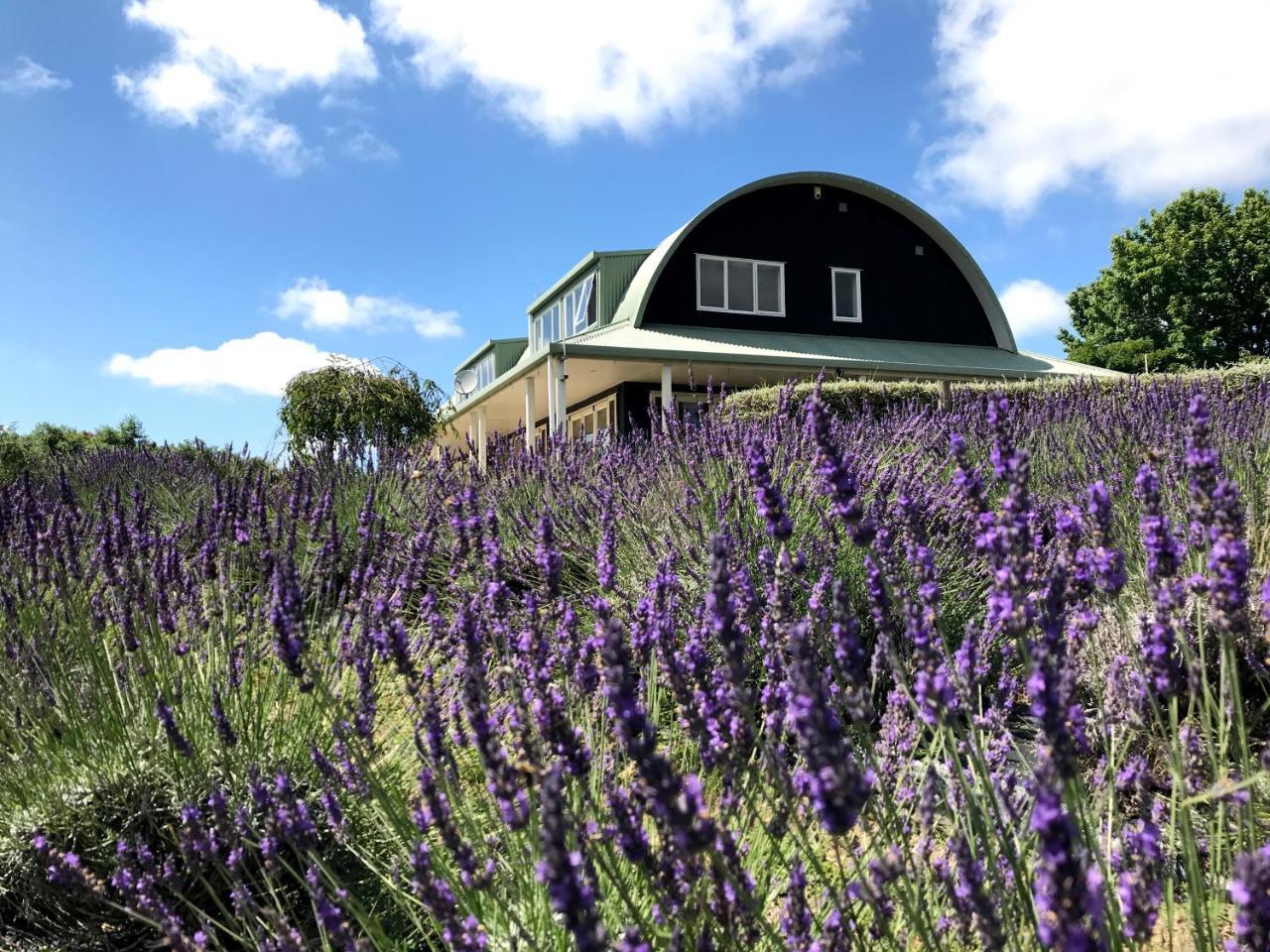 Bed and Breakfast Lavender Hill Riverhead Esterno foto